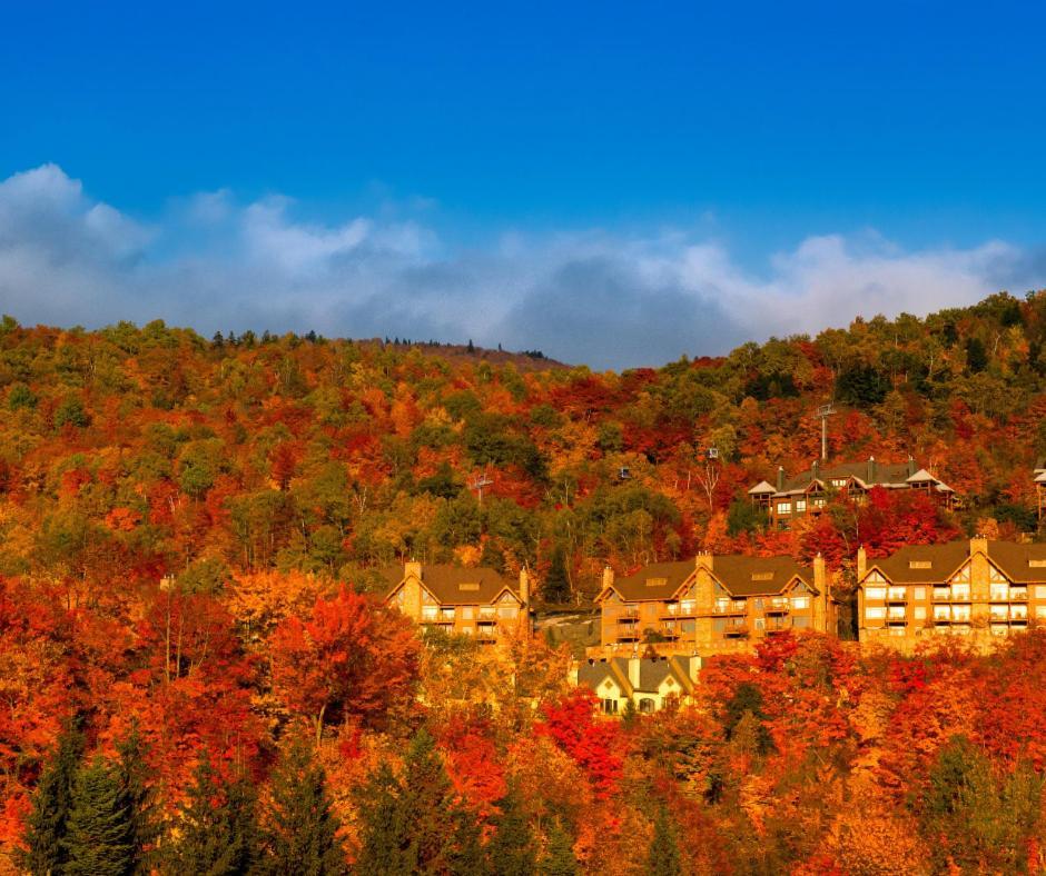 Altitude Ski Inout 3 Bdrs W Sauna And Hot Tub Mont-Tremblant Eksteriør billede